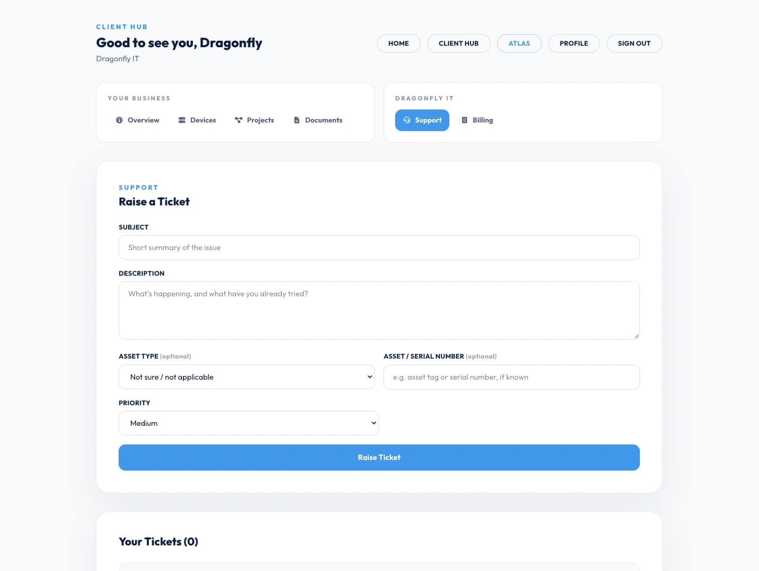 The Dragonfly IT client portal, raising a ticket