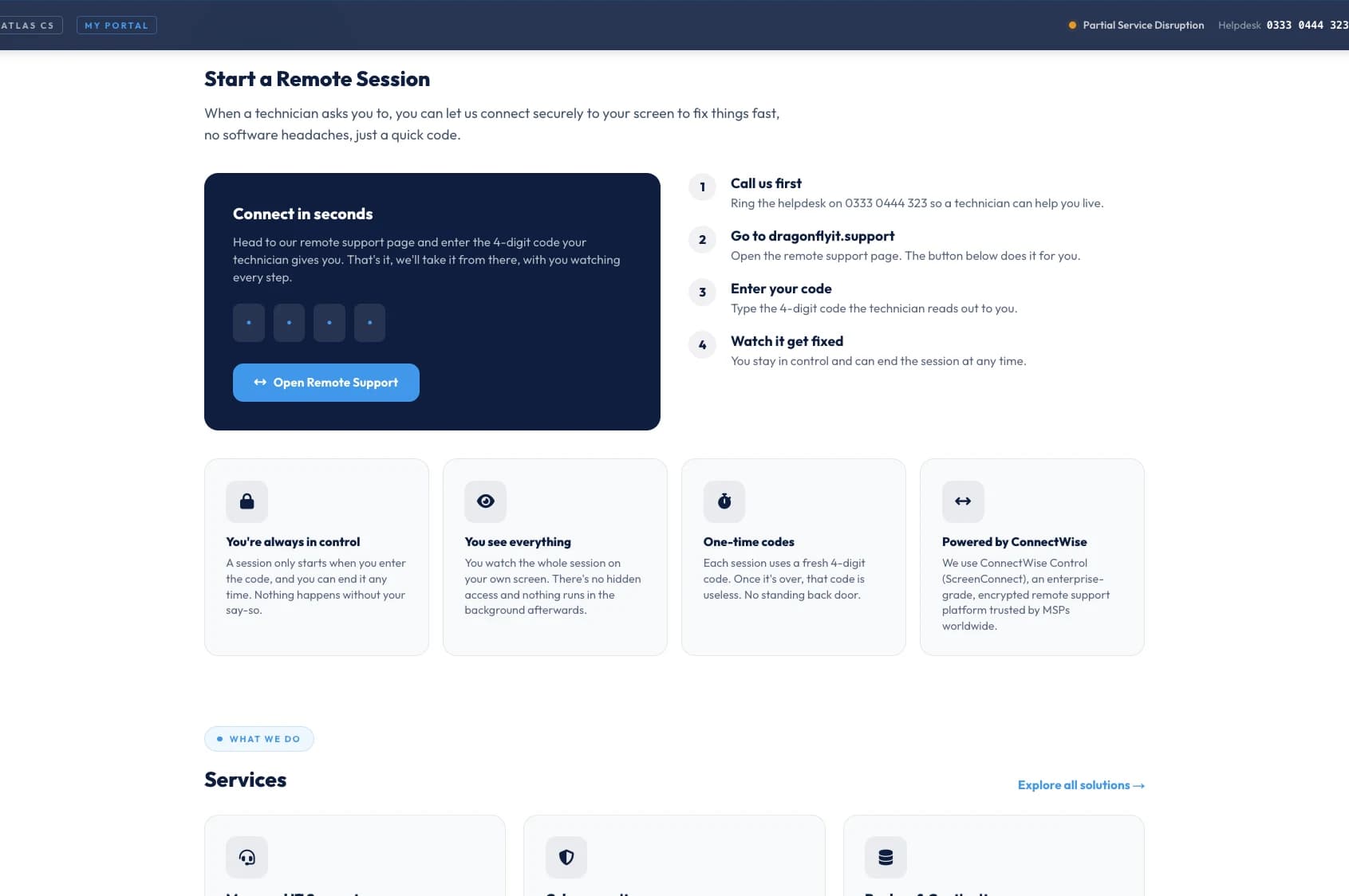 Starting a Dragonfly IT remote session
