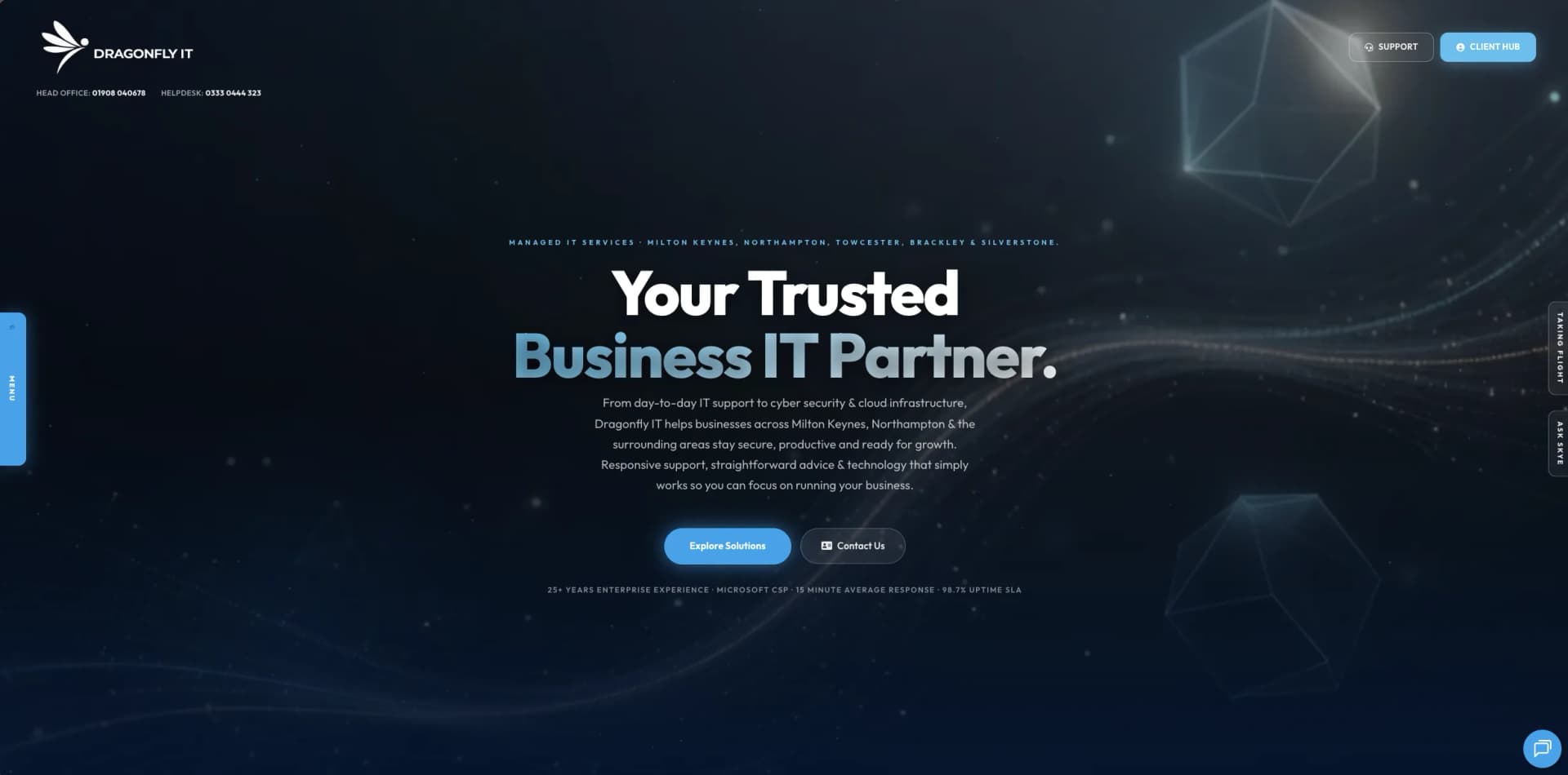 Dragonfly IT website, view 1