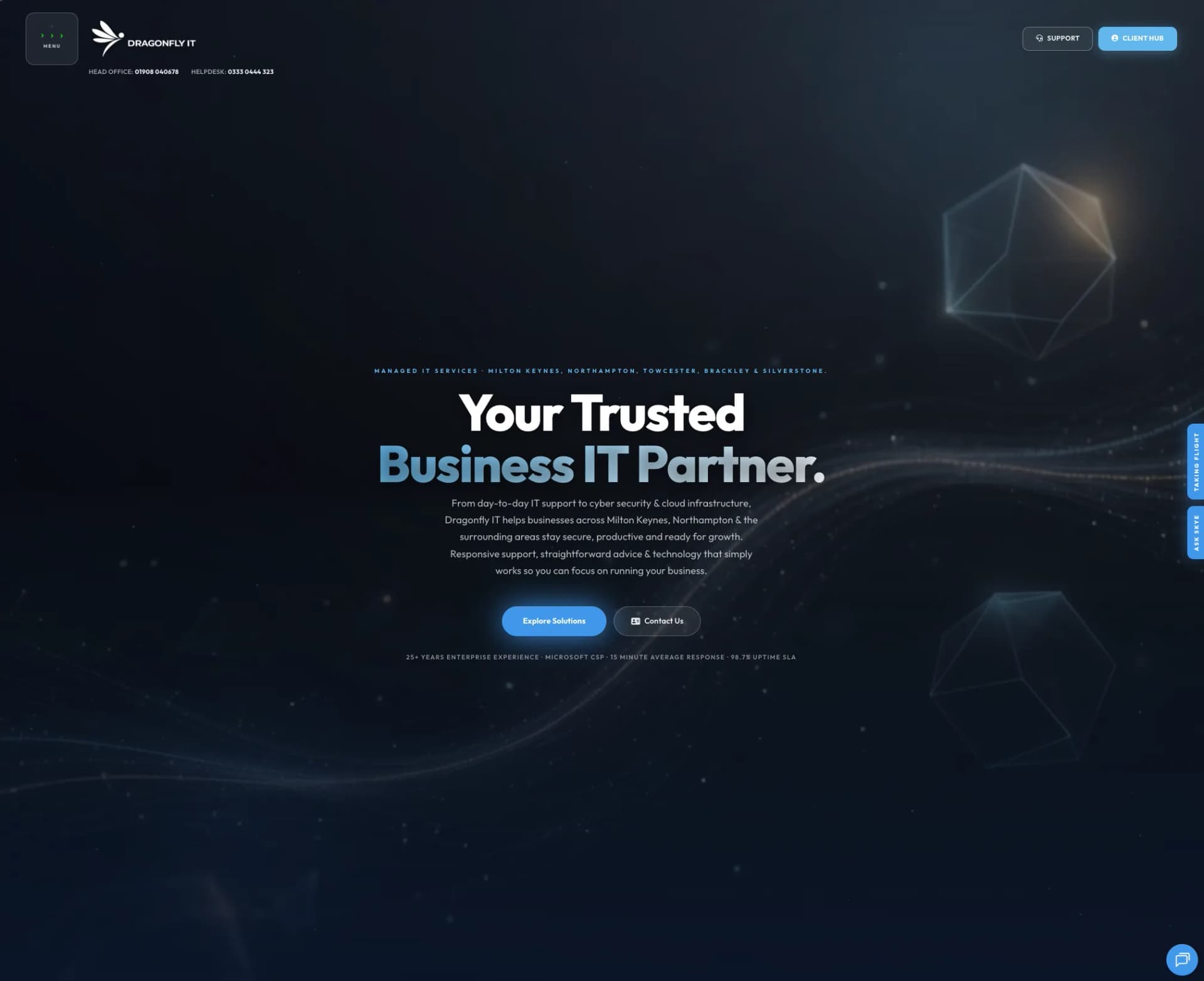 Dragonfly IT website, view 3